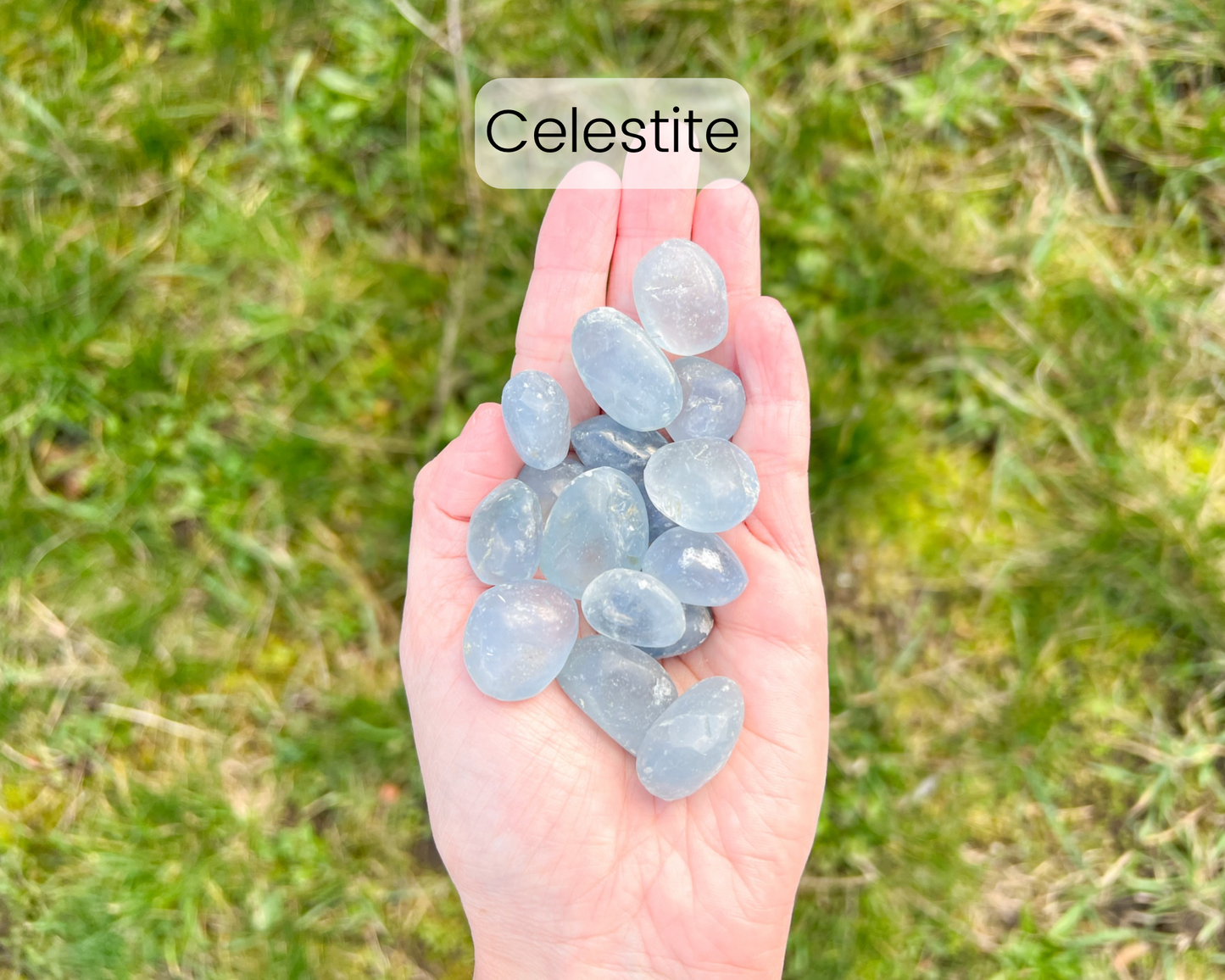 Custom Crystal Tree with Amethyst Crystal Base