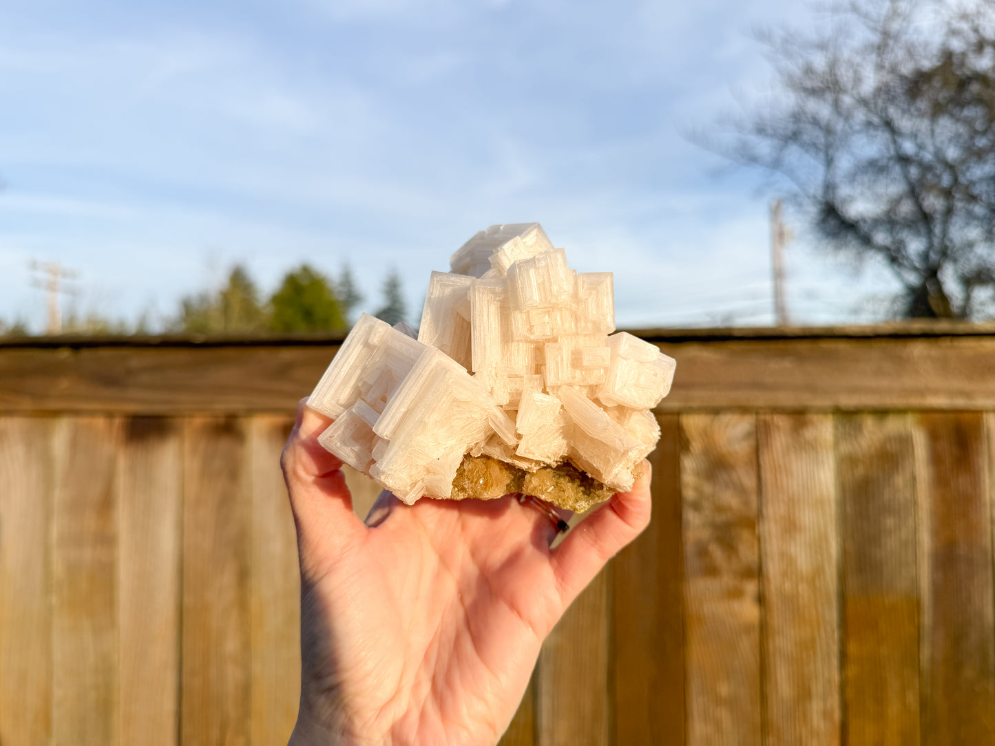 Halite Raw
