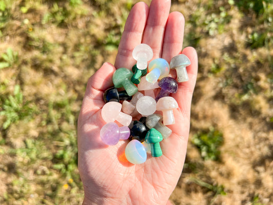 Mystery Mushroom Carving