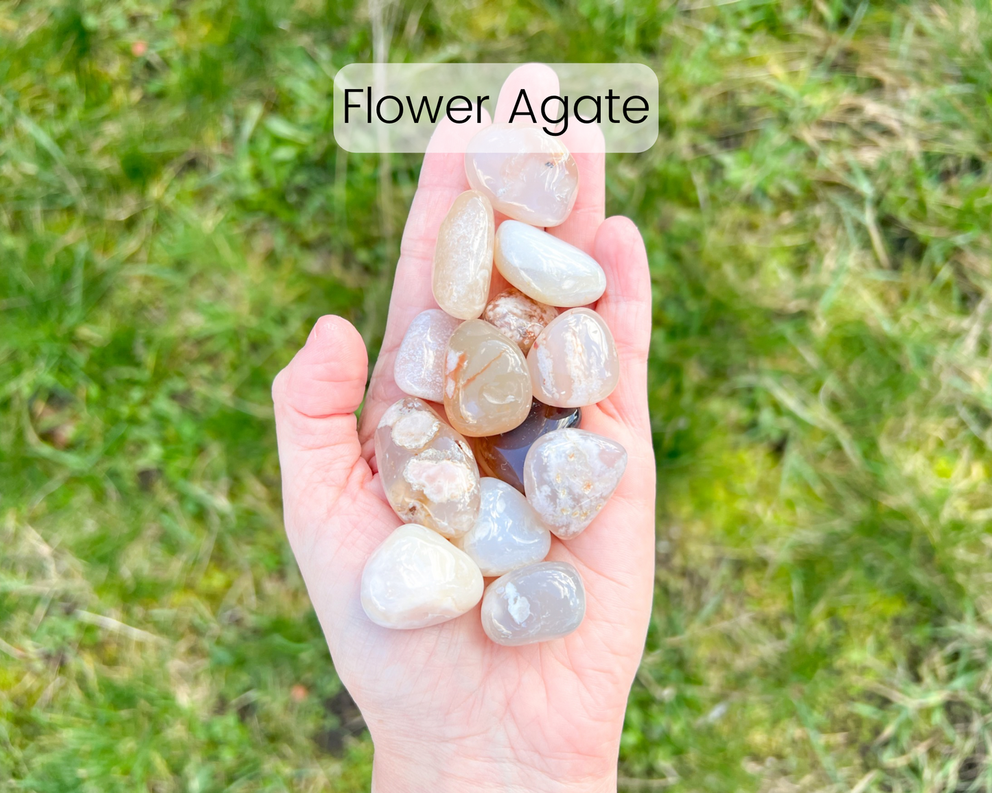 Custom Crystal Tree with Rose Quartz Crystal Base