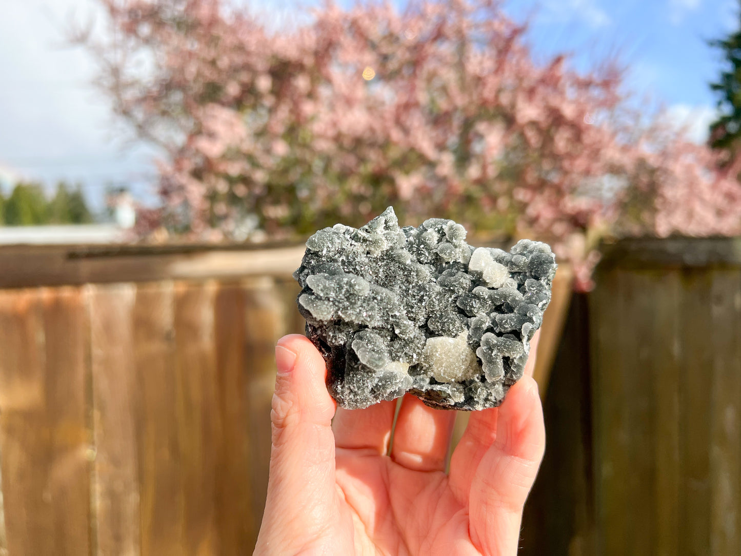 Black Chalcedony Raw Crystal with Aphopyllite