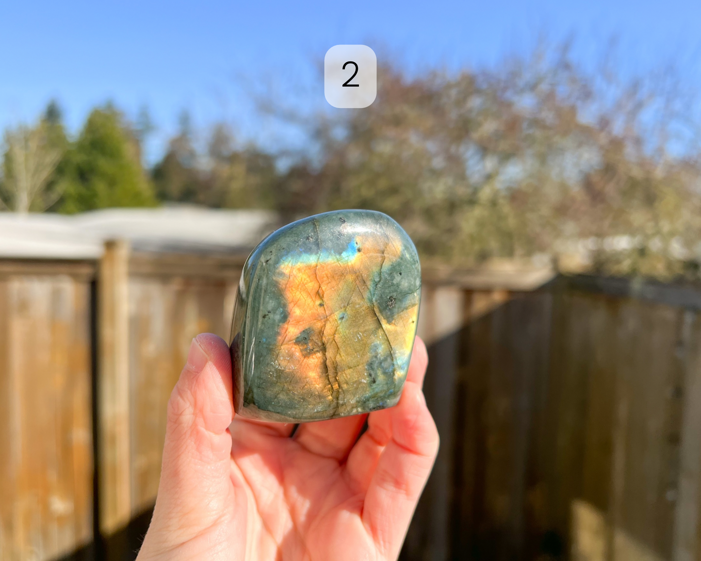 Custom Crystal Tree with Labradorite Crystal Base