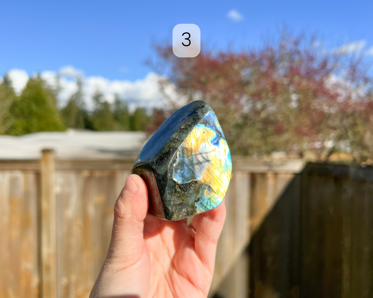 Custom Crystal Tree with Labradorite Crystal Base