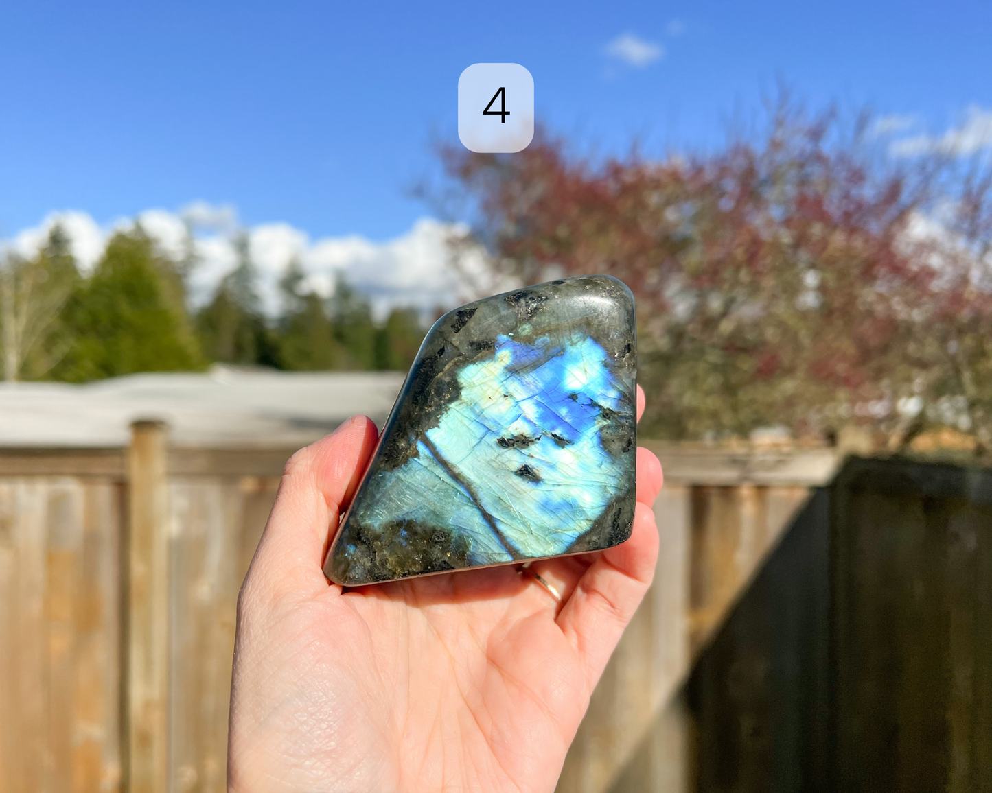 Custom Crystal Tree with Labradorite Crystal Base