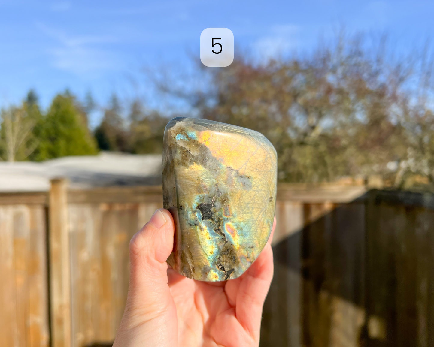 Custom Crystal Tree with Labradorite Crystal Base