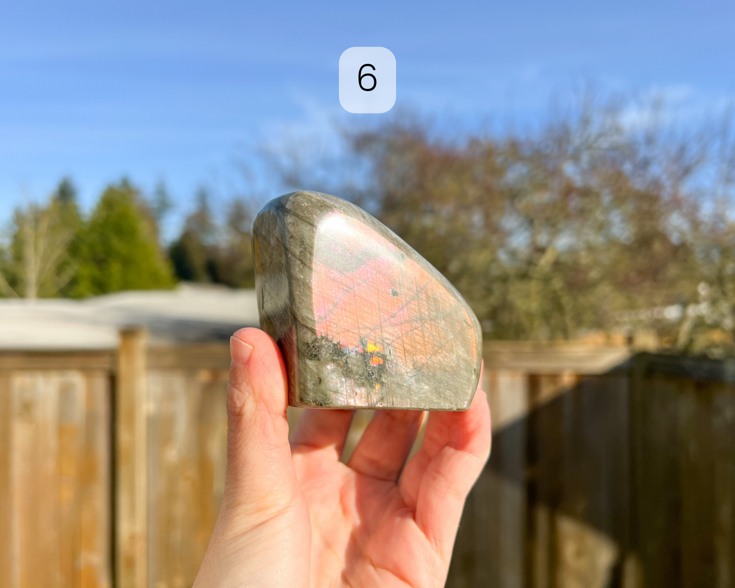 Custom Crystal Tree with Labradorite Crystal Base