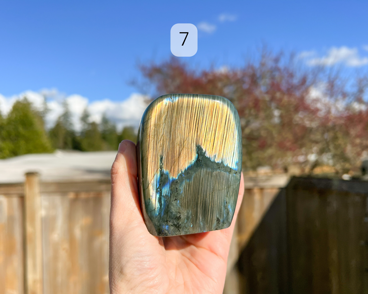 Custom Crystal Tree with Labradorite Crystal Base