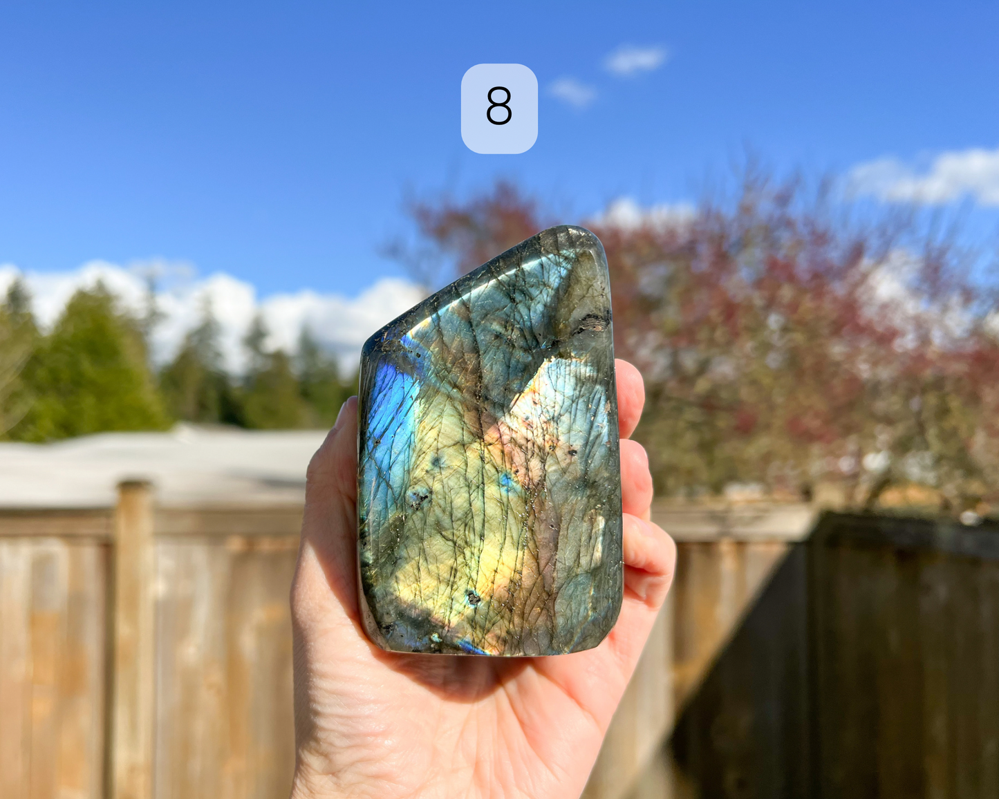 Custom Crystal Tree with Labradorite Crystal Base