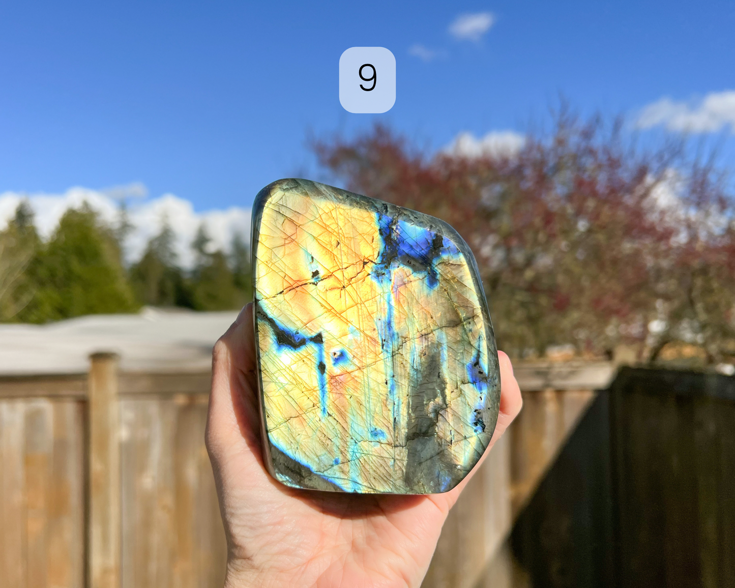 Custom Crystal Tree with Labradorite Crystal Base