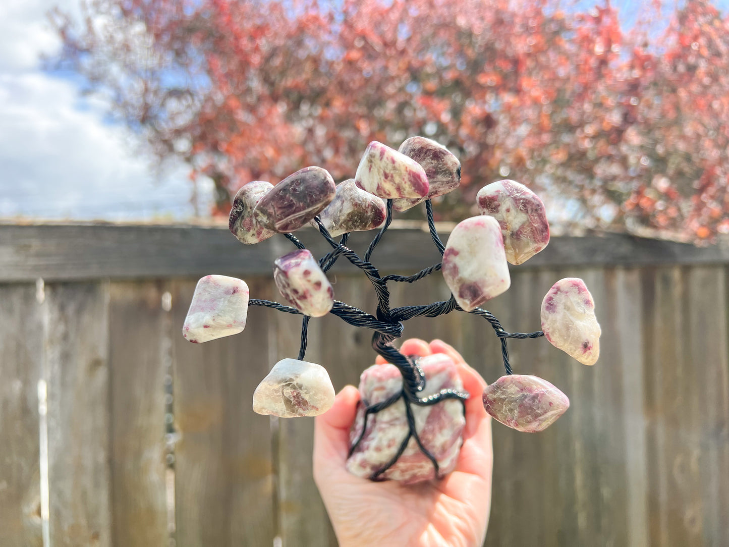 Pink Tourmaline Crystal Tree