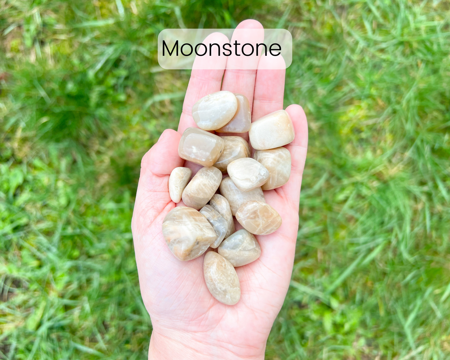 Custom Birthstone Crystal Tree with Rock Base