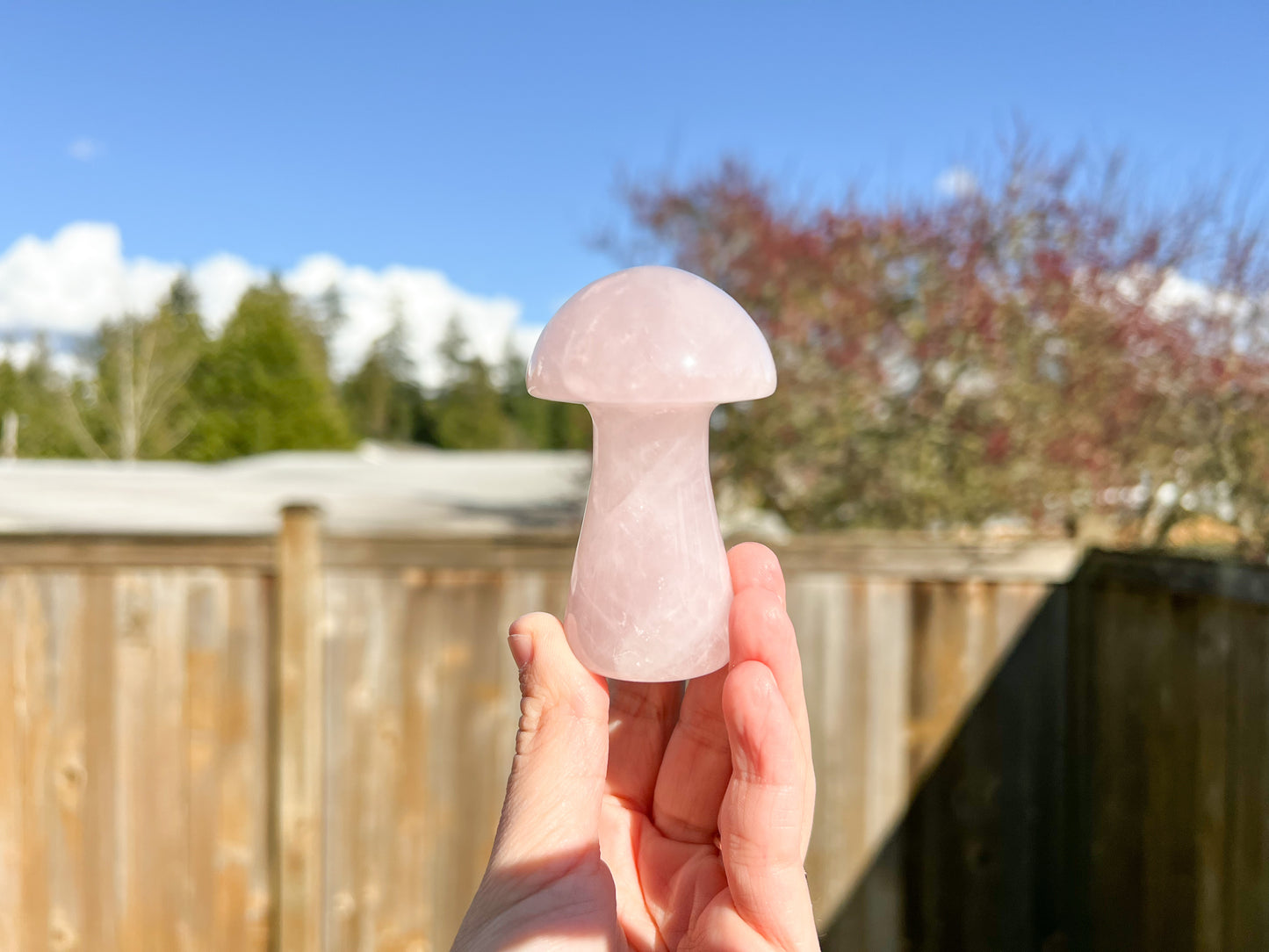 Rose Quartz Mushroom