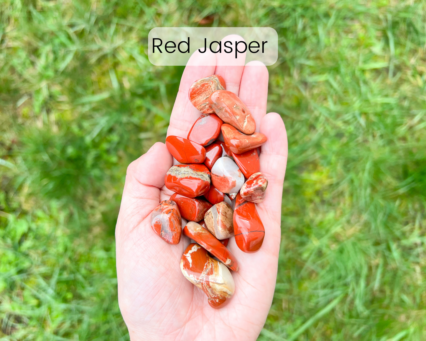 Custom Crystal Tree with Labradorite Crystal Base