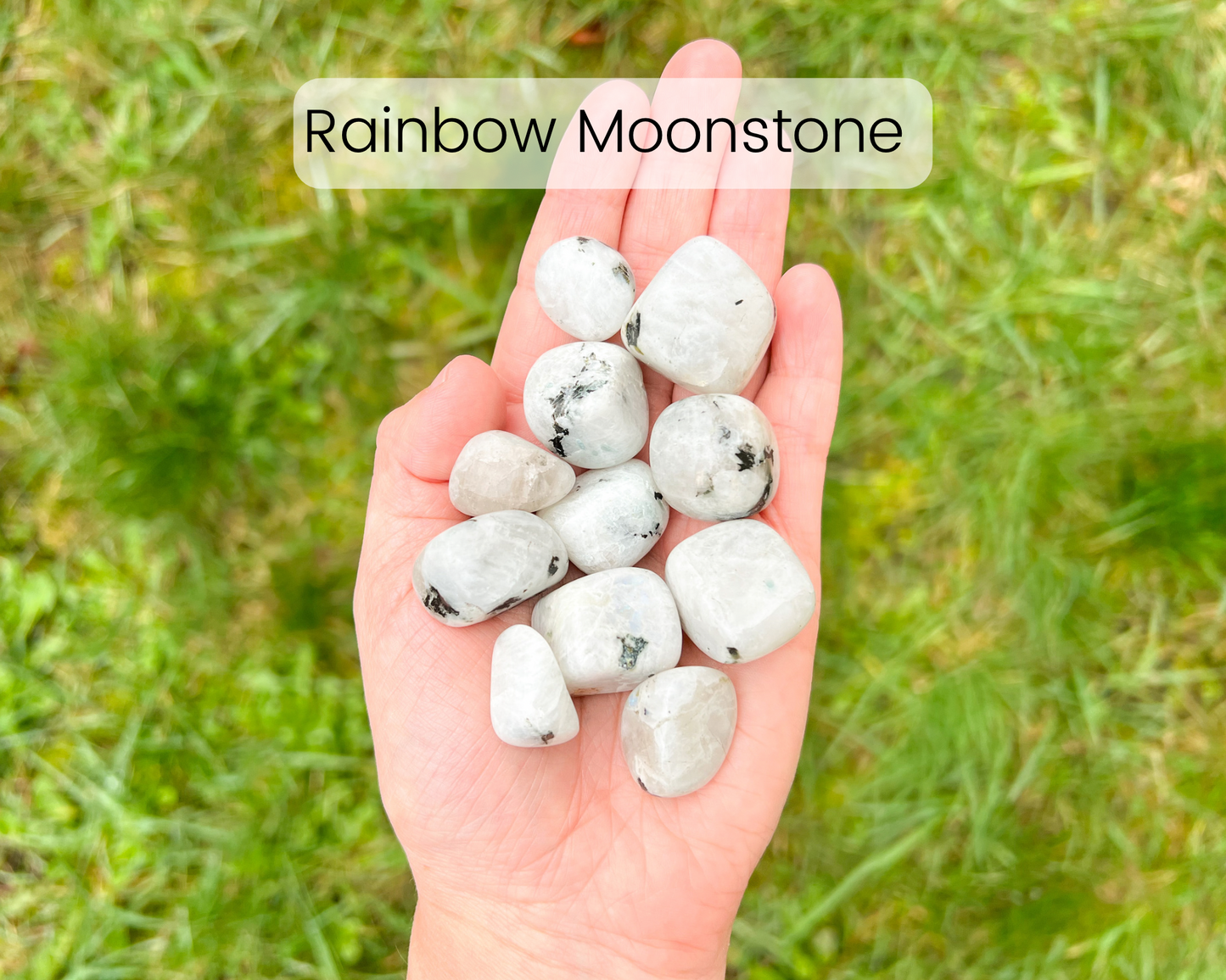 Custom Crystal Tree with Labradorite Crystal Base