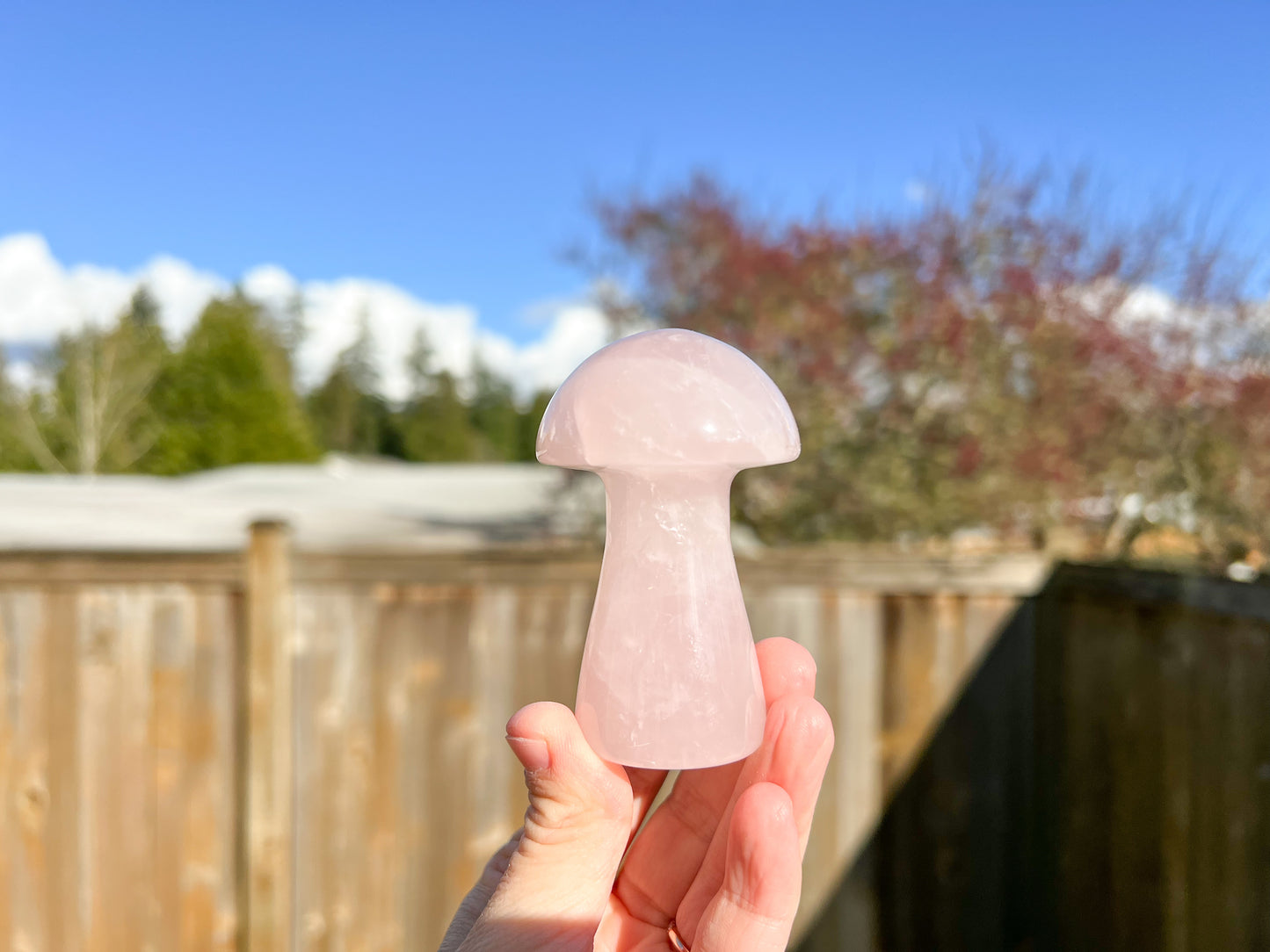 Rose Quartz Mushroom