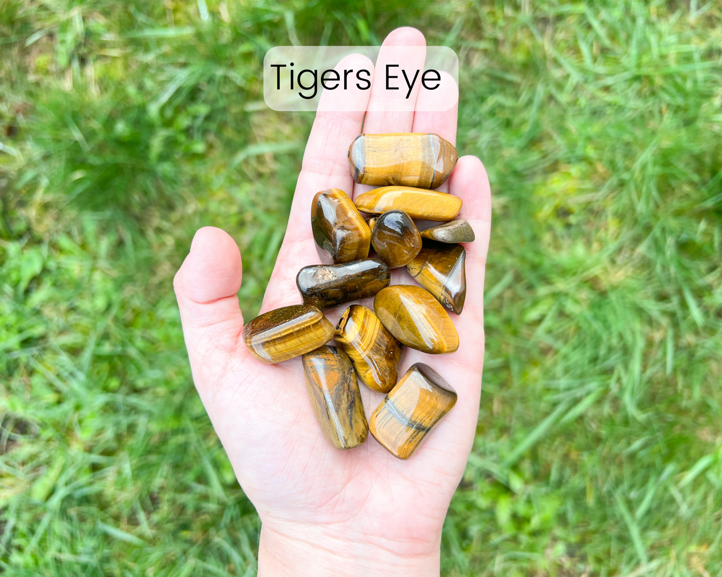 Custom Crystal Tree with Labradorite Crystal Base