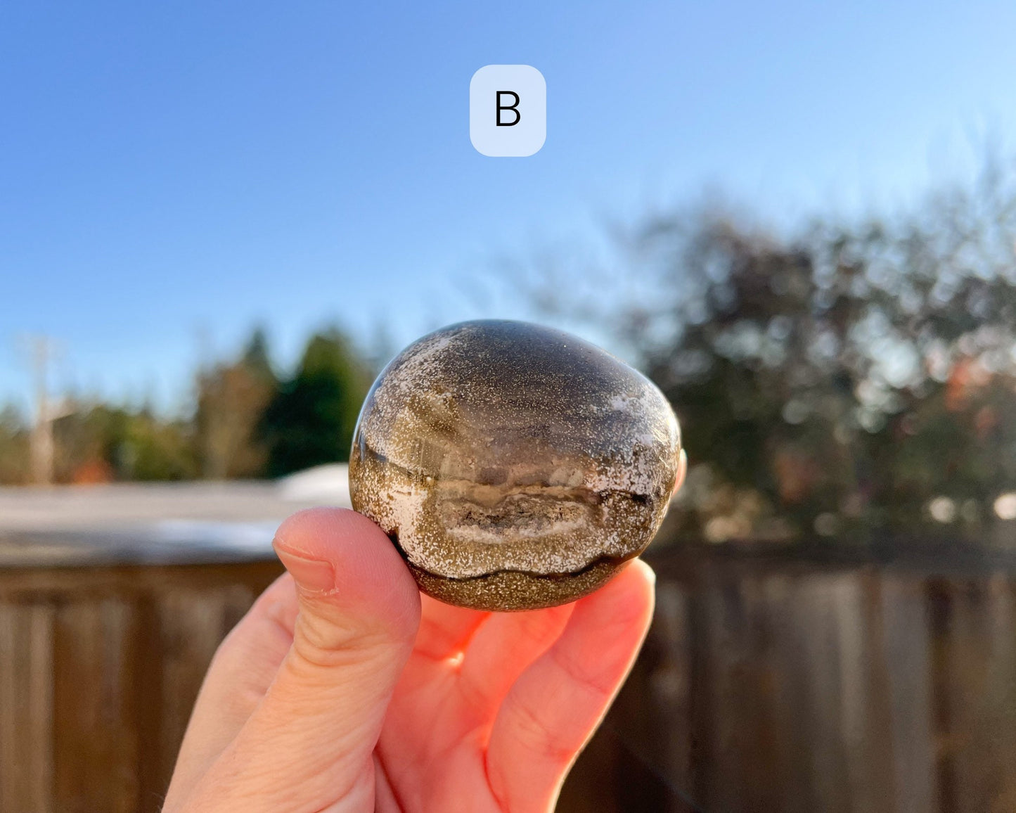 Ocean Jasper Palm Stone