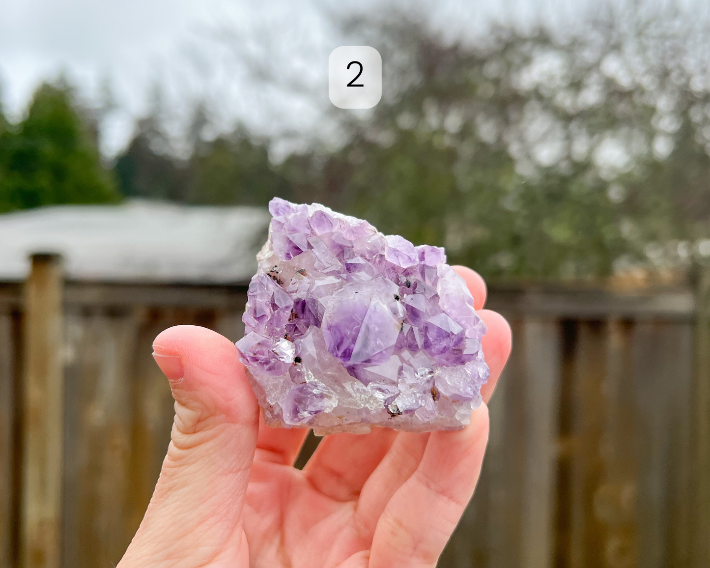 Custom Crystal Tree with Amethyst Crystal Base