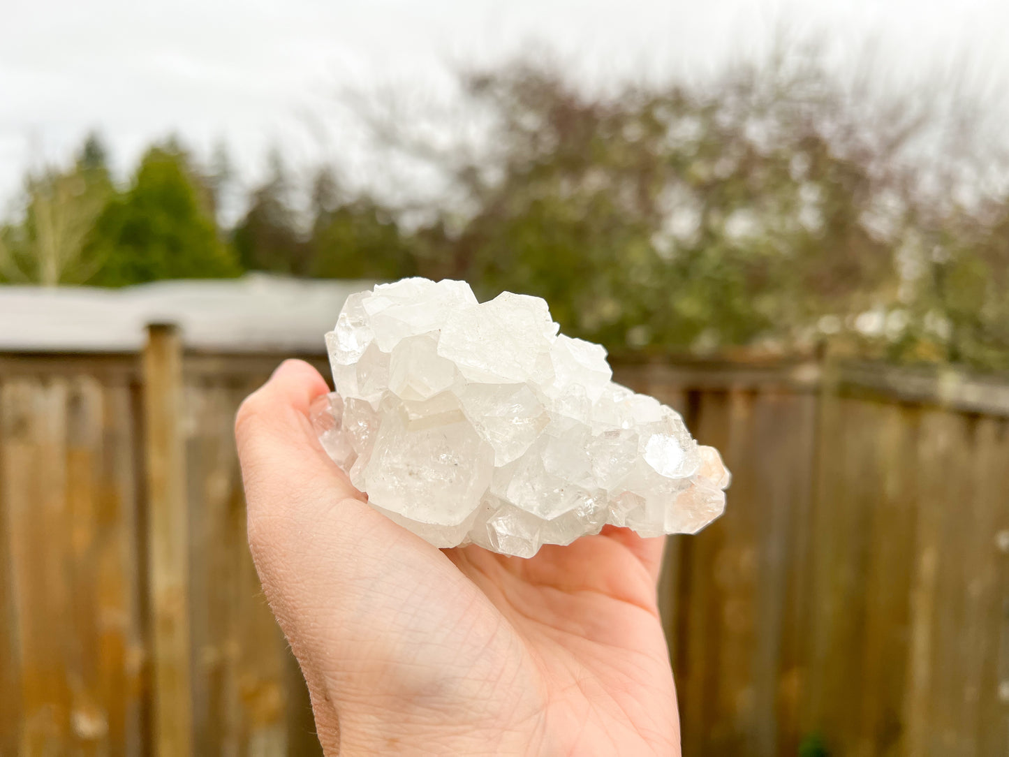 Apophyllite with Stilbite Cluster