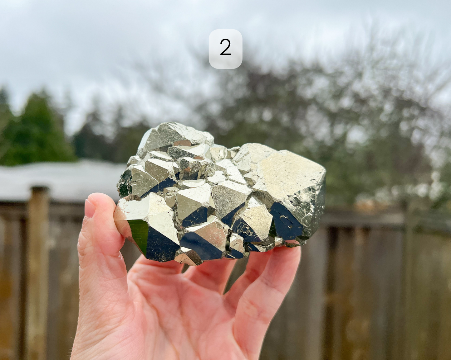 Custom Crystal Tree with Pyrite Crystal Base