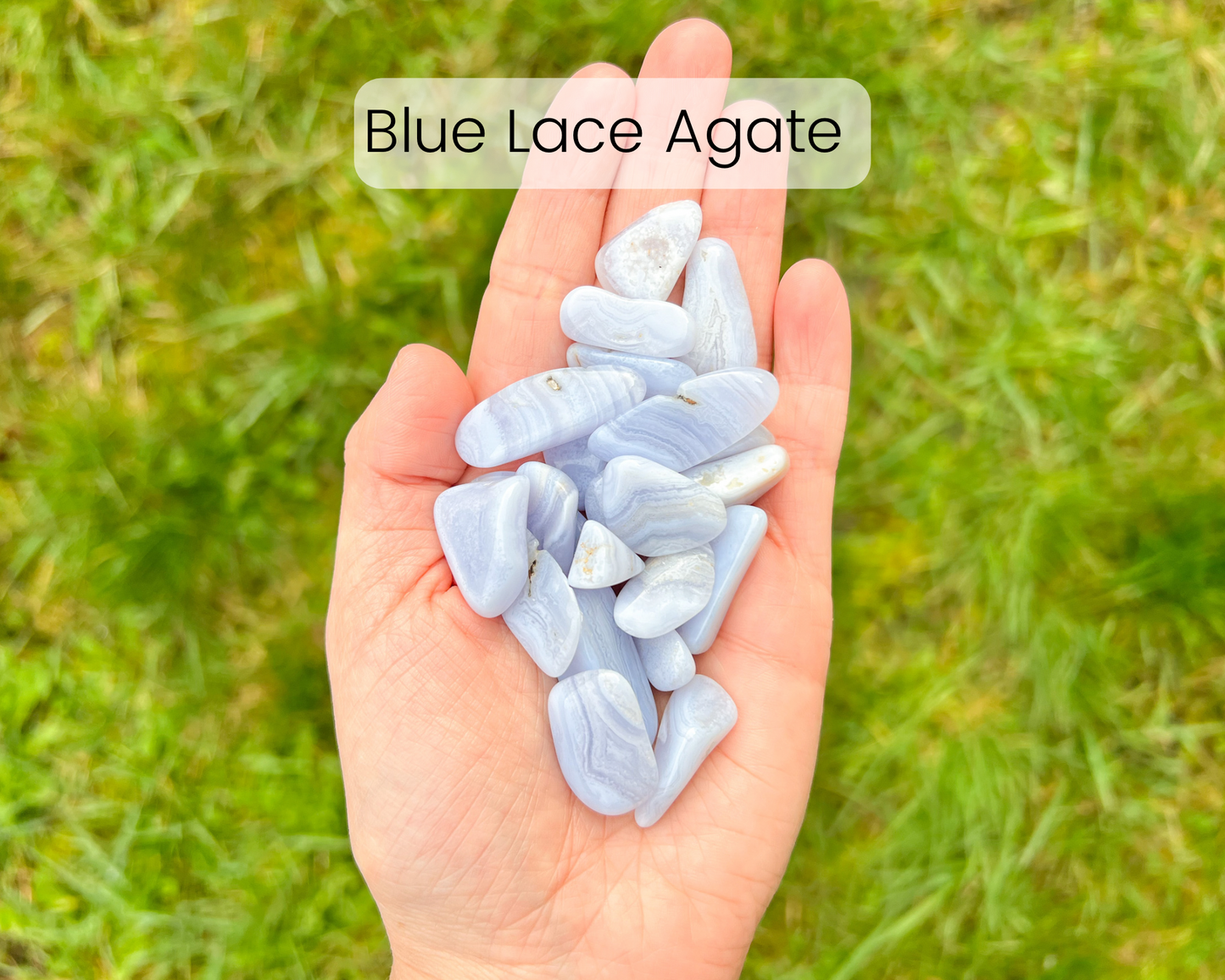 Custom Crystal Tree with Pyrite Crystal Base