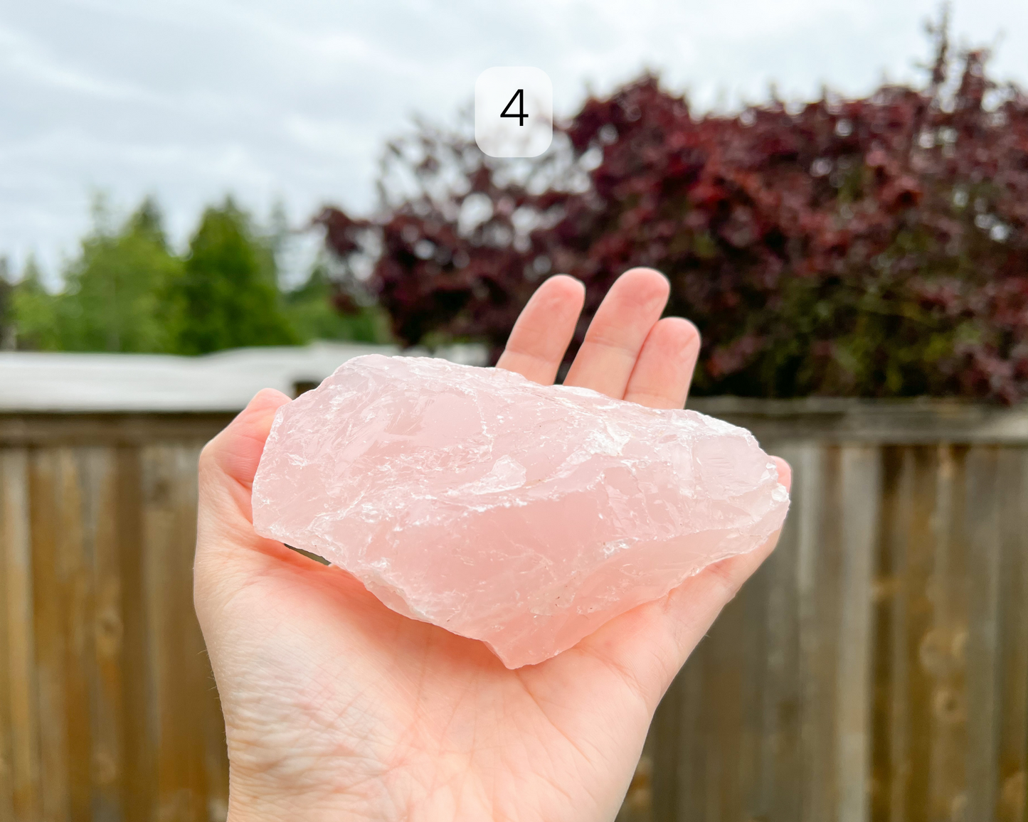 Custom Crystal Tree with Rose Quartz Crystal Base