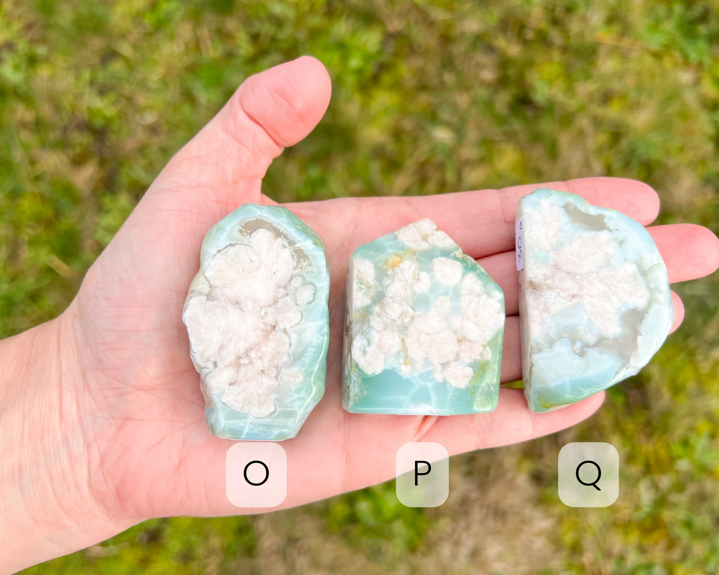 Green Flower Agate Freeform