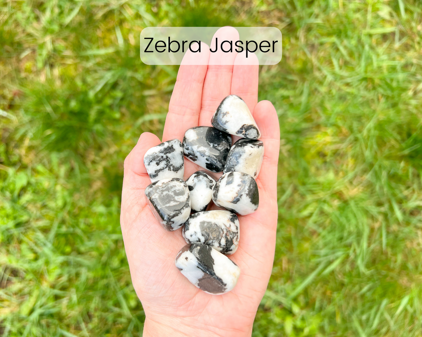 Custom Crystal Tree with Pyrite Crystal Base