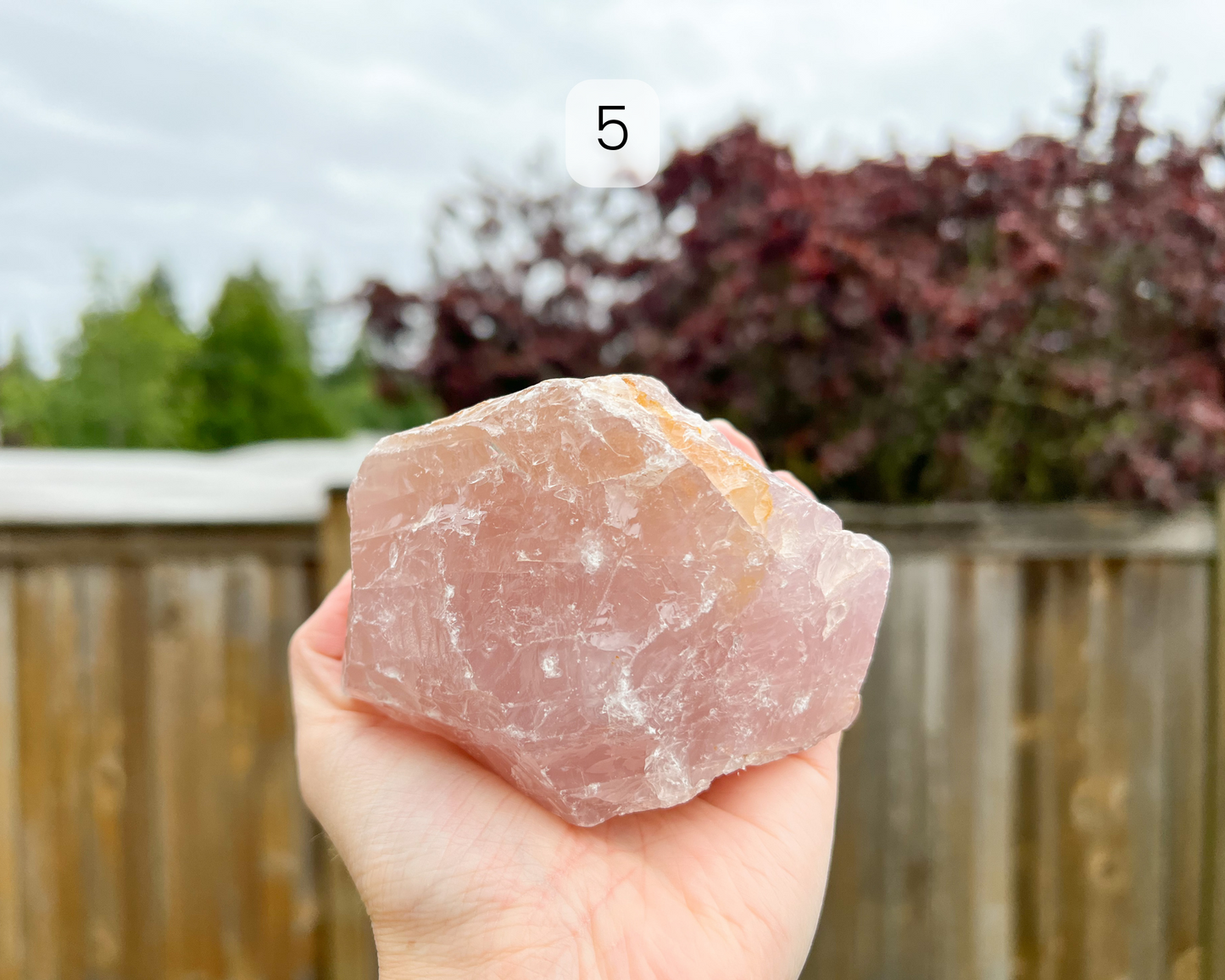 Custom Crystal Tree with Rose Quartz Crystal Base