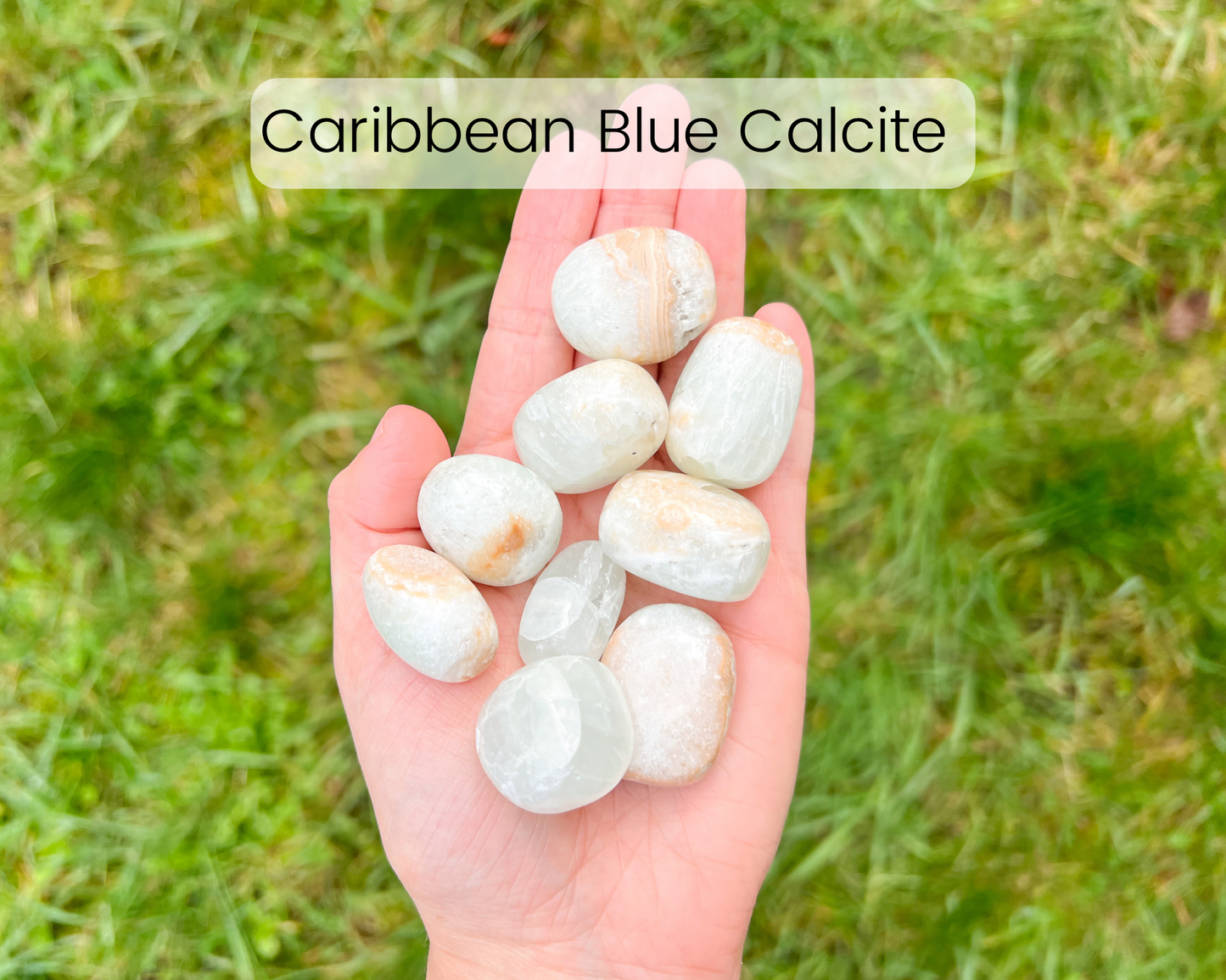 Custom Crystal Tree with Rose Quartz Crystal Base