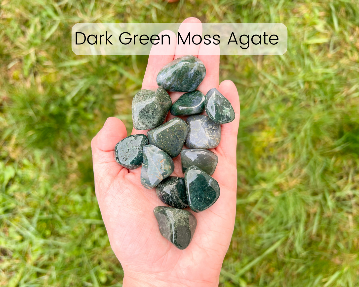 Custom Crystal Tree with Pyrite Crystal Base