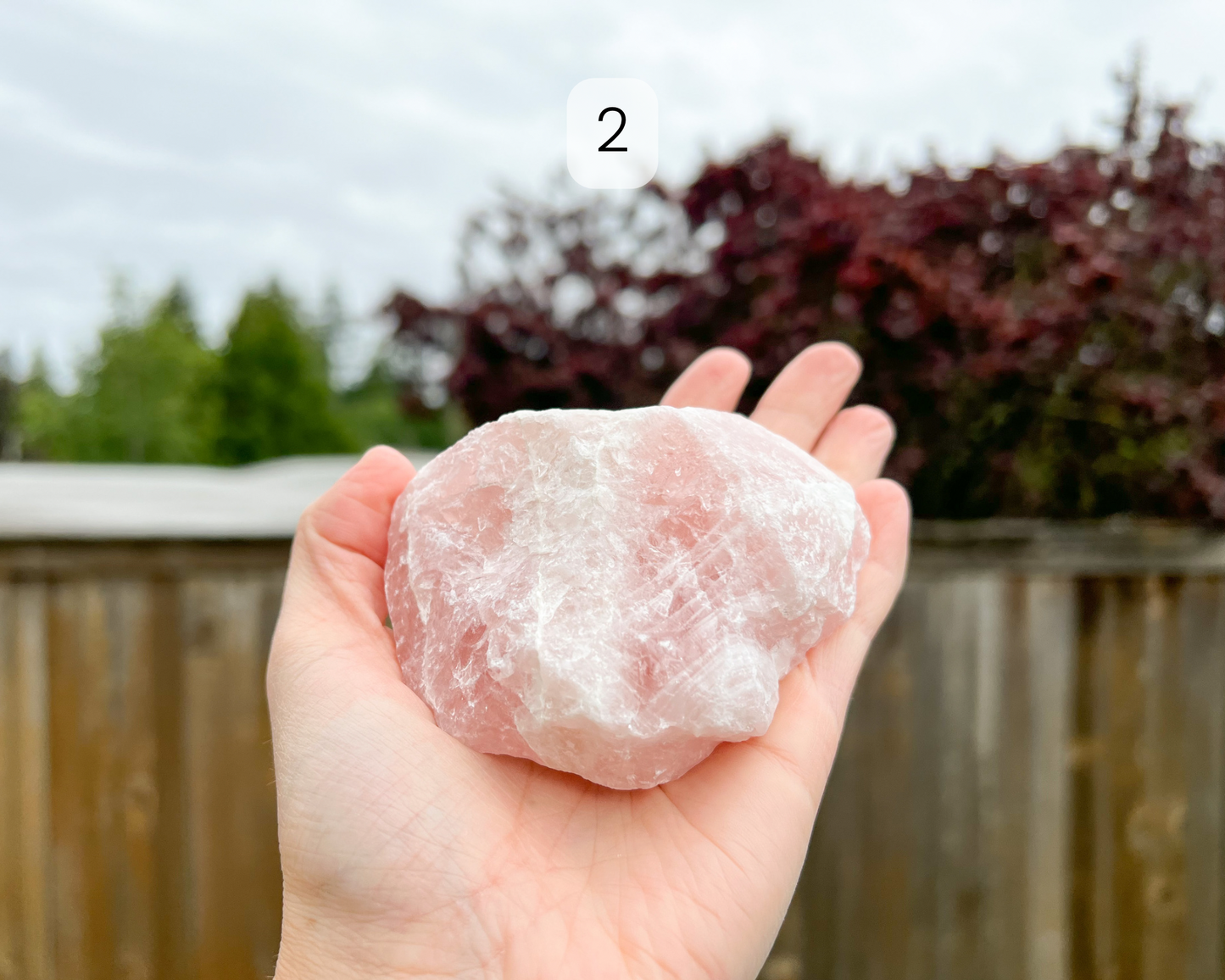 Custom Crystal Tree with Rose Quartz Crystal Base