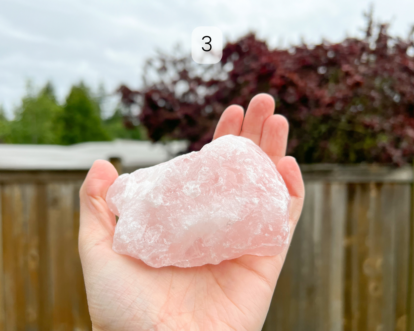 Custom Crystal Tree with Rose Quartz Crystal Base