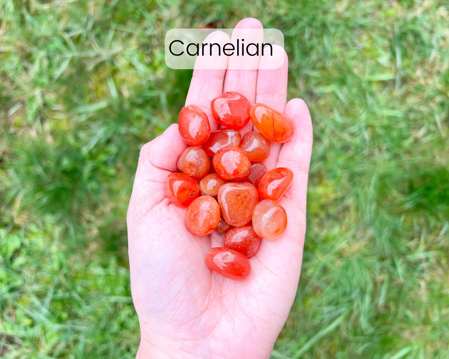 Custom Crystal Tree with Amethyst Crystal Base