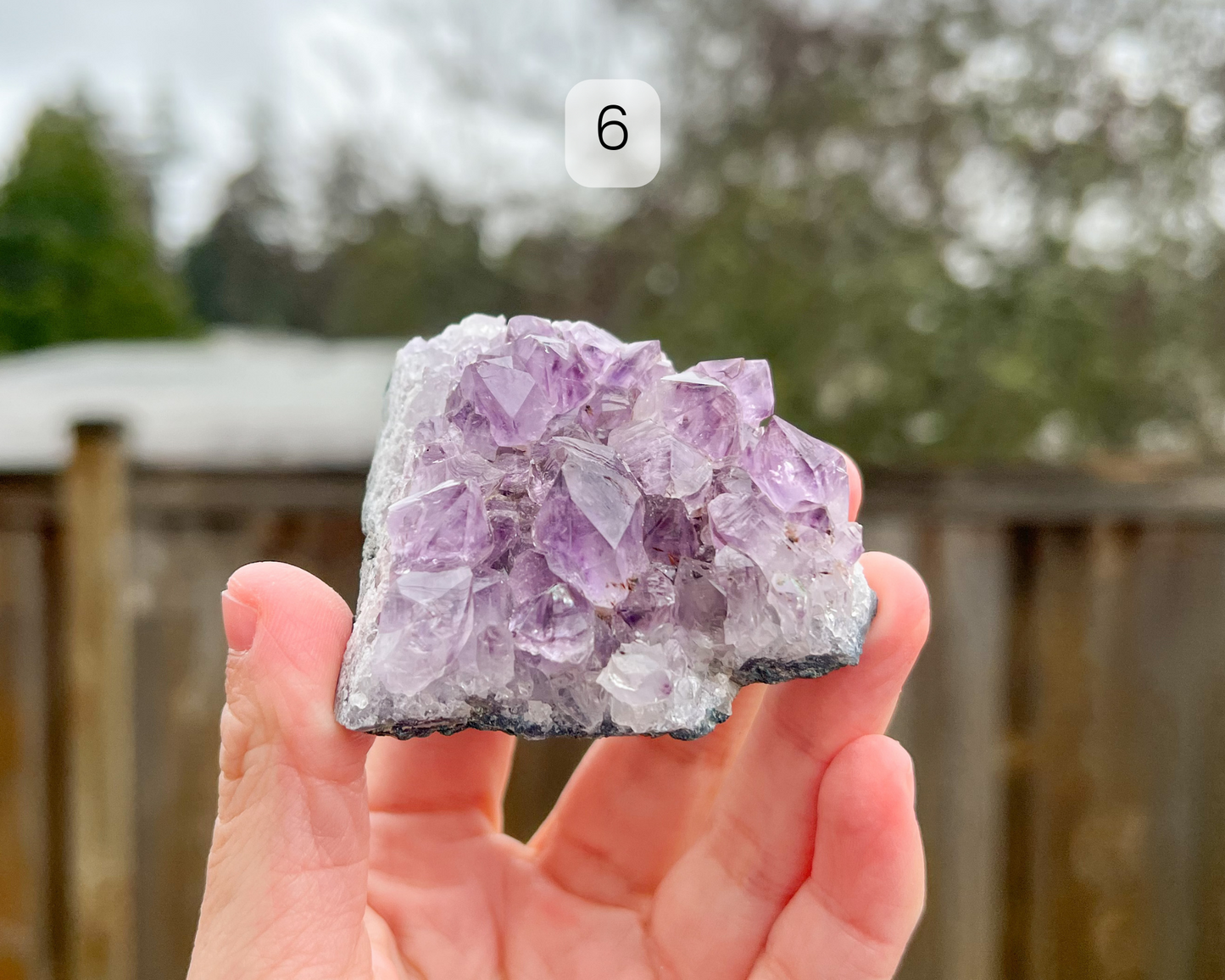 Custom Crystal Tree with Amethyst Crystal Base