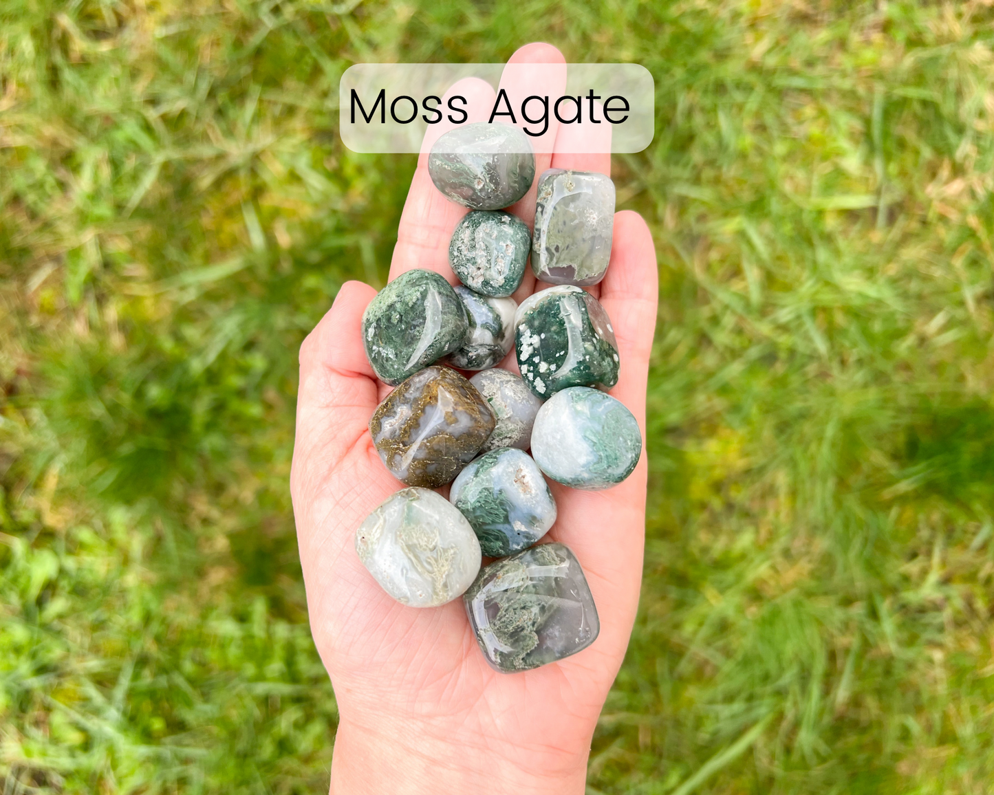 Custom Crystal Tree with Amethyst Crystal Base