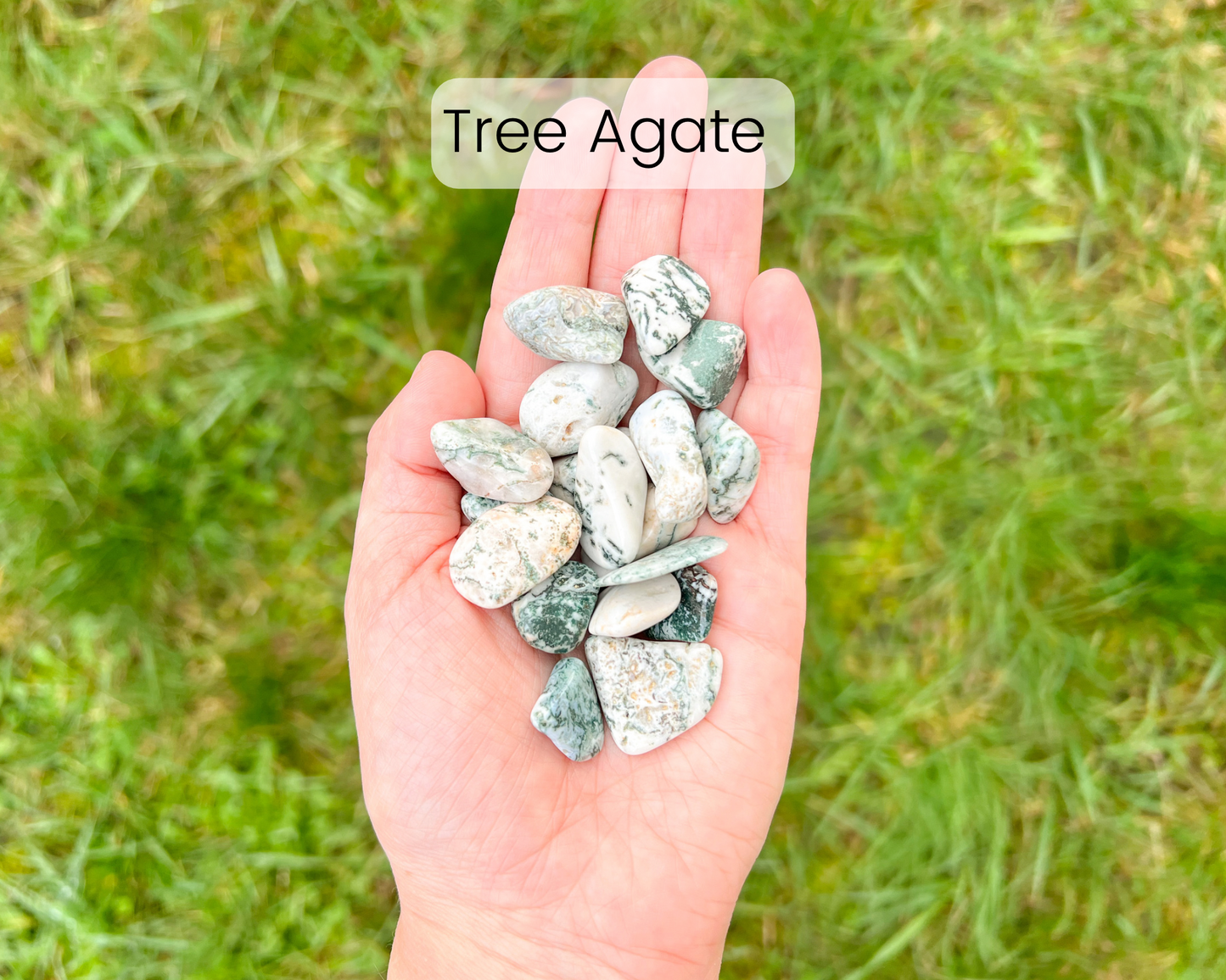 Custom Crystal Tree with Pyrite Crystal Base