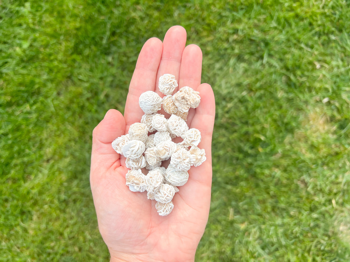 Desert Rose Raw Cluster