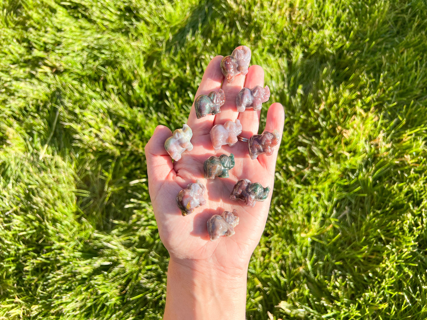 Ocean Jasper Elephant