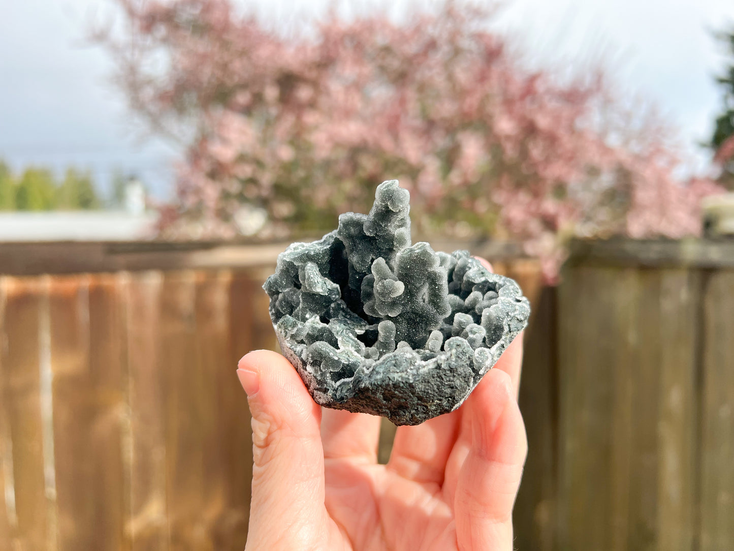 Black Chalcedony Raw Crystal