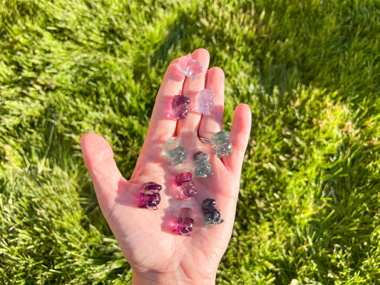 Fluorite Dino Carving