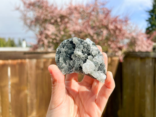 Black Chalcedony Raw Crystal with Aphopyllite