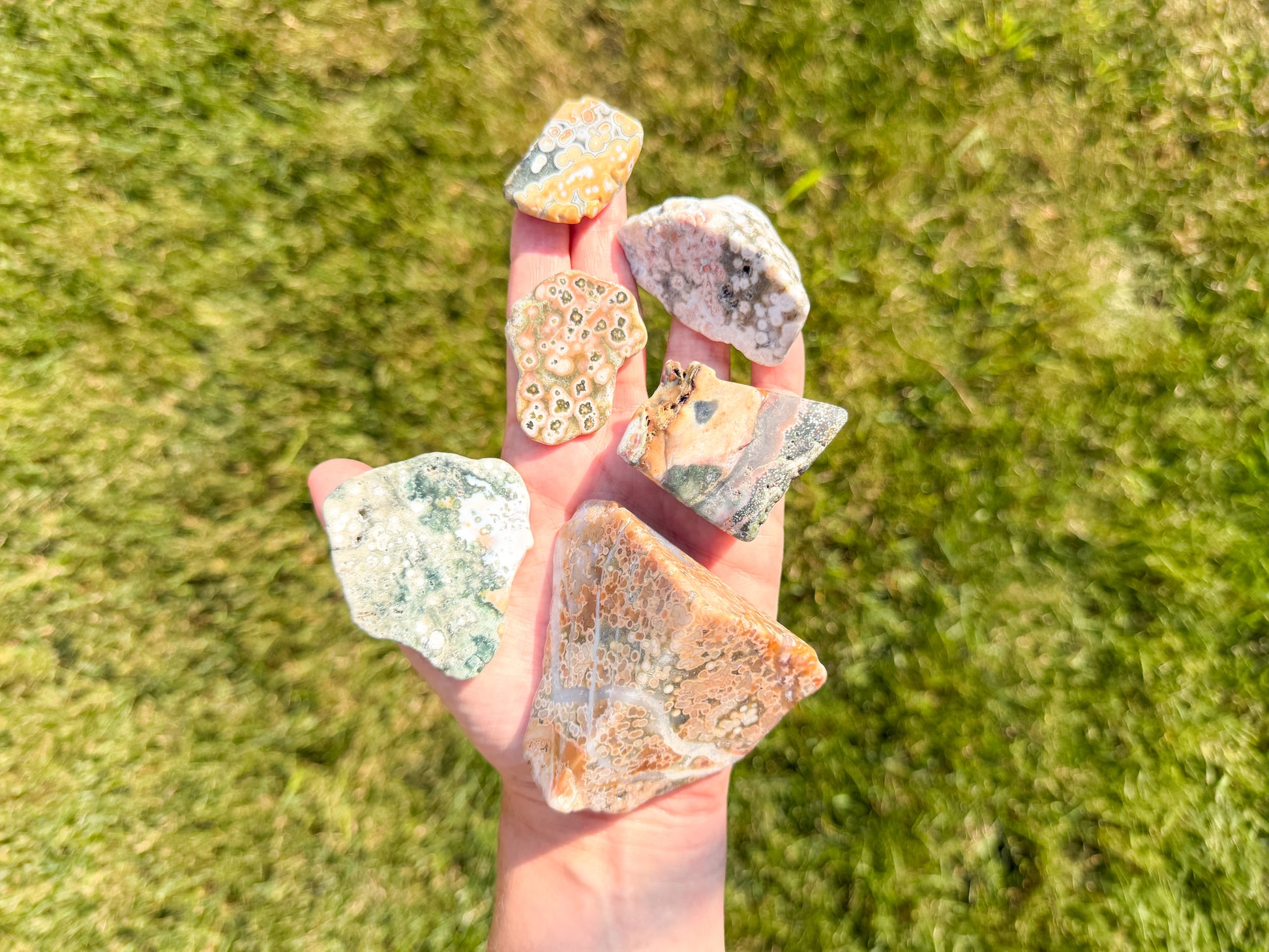A hand holding five raw, rough natural stones of various colors and patterns, set against a blurred green grass background.