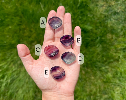 Fluorite Shell Carving