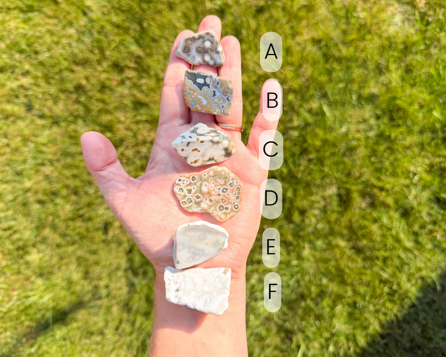 Ocean Jasper Freeform