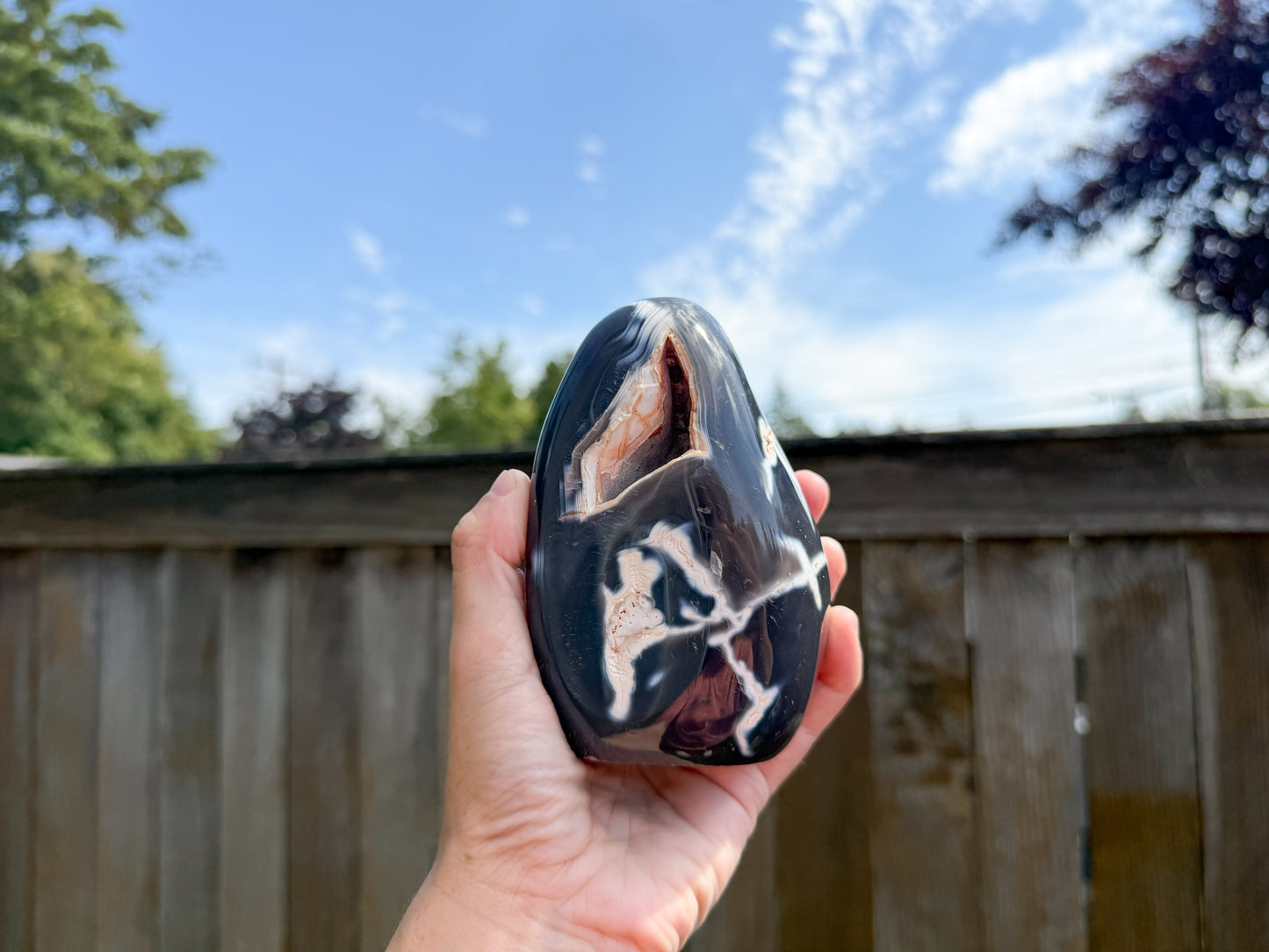 Orca Agate Freeform