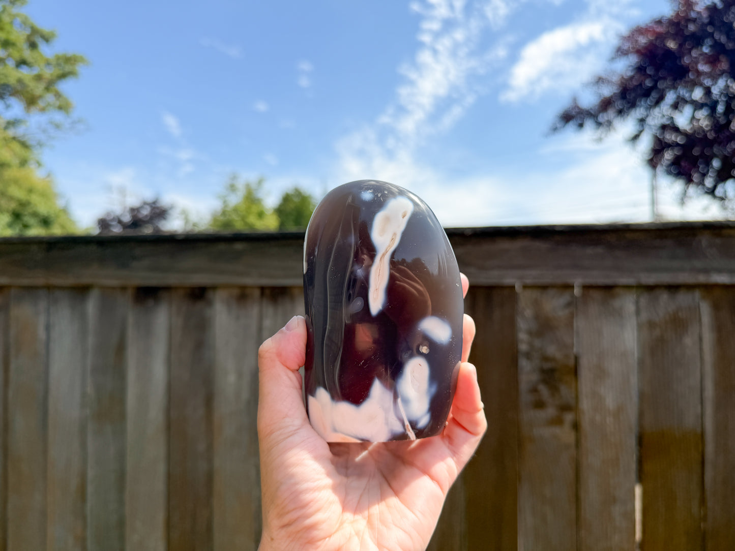 Orca Agate Freeform