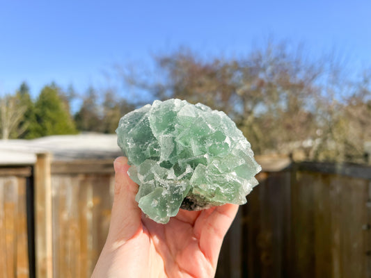 Sugar Fluorite Raw Crystal