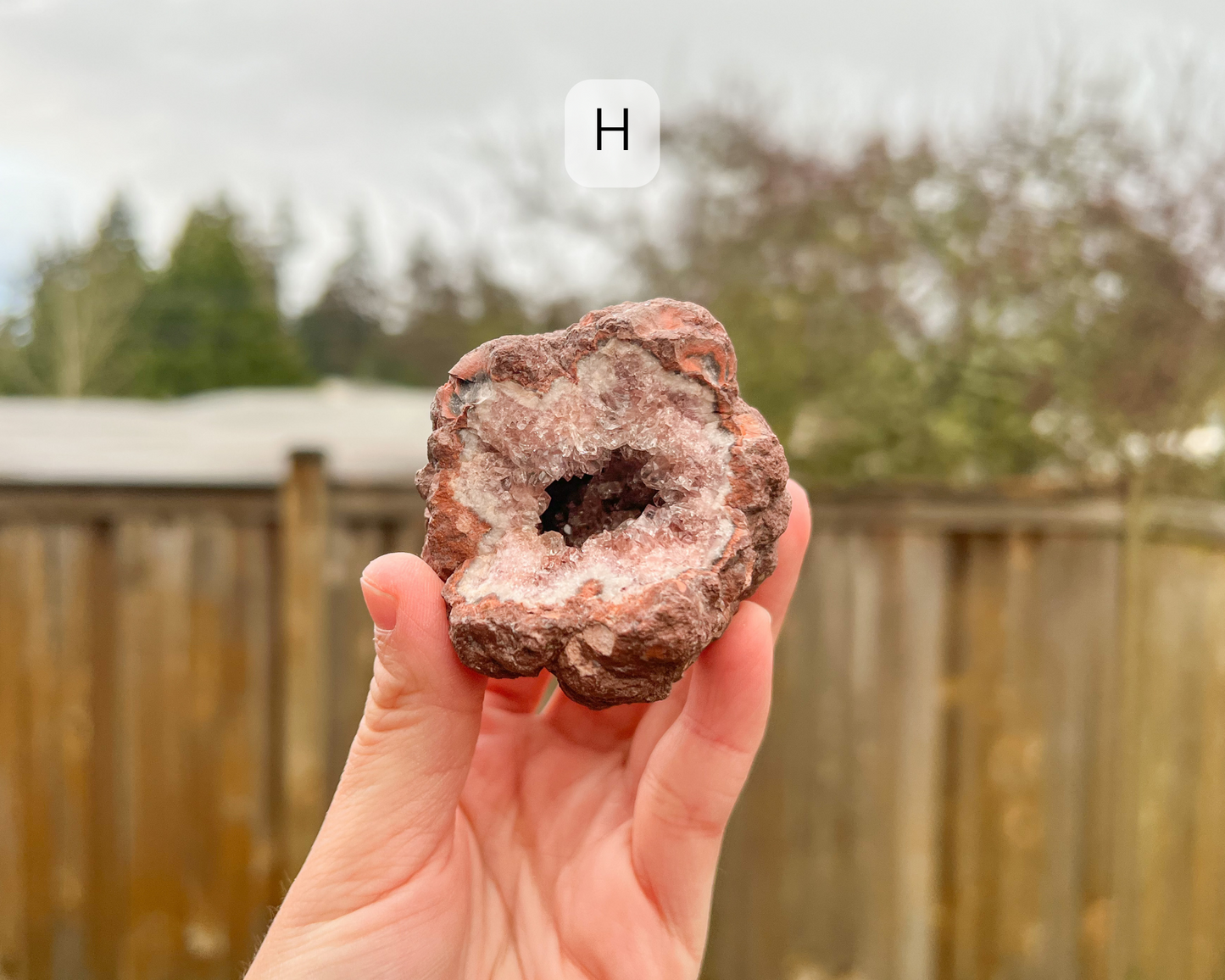 Pink Amethyst Raw Geode Large