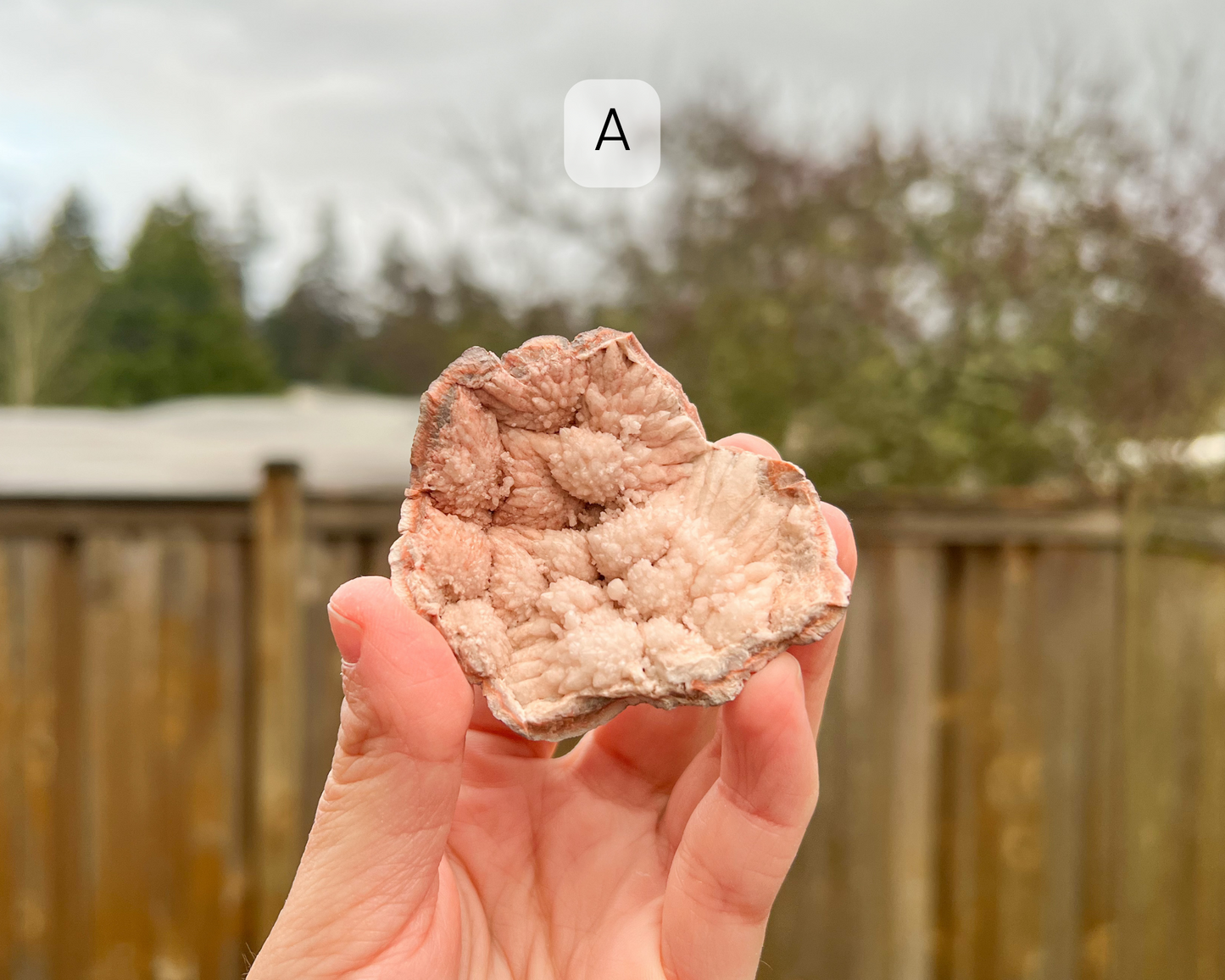 Pink Amethyst Raw Geode Large